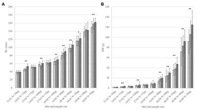 Physiological Effects of Water Flow Induced Swimming Exercise in Seabream Sparus aurata